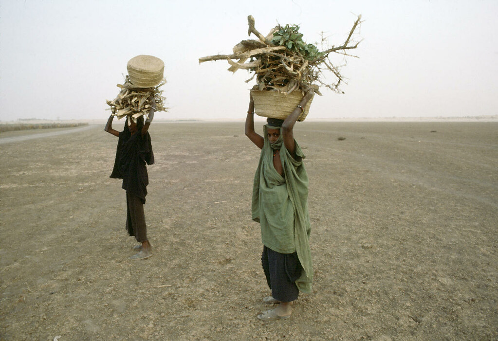 Women collecting firewood for cooking pause on the cracked bed of the Niger River.